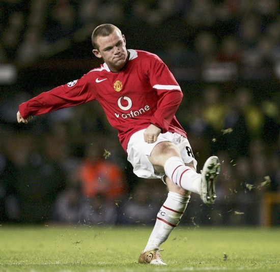 的报道不仅 的报道不仅